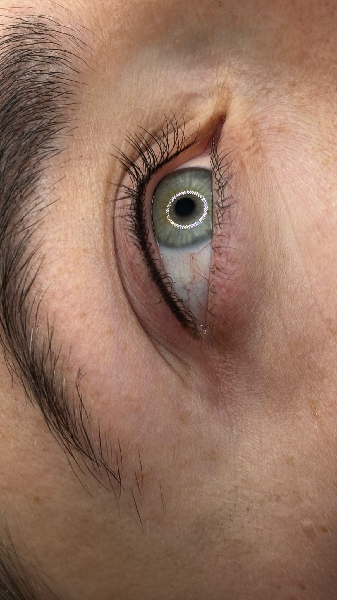 Lashliner Ergebnis München